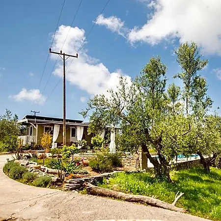 Hakuna Matata Holidays Agalia With Airco & Pool In Greek Olive Grove