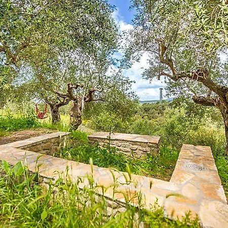 Hotel Hakuna Matata Holidays Agalia With Airco & Pool In Greek Olive Grove