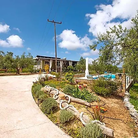 Hakuna Matata Holidays Agalia With Airco & Pool In Greek Olive Grove Hotel *