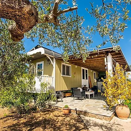 Hakuna Matata Holidays Agalia With Airco & Pool In Greek Olive Grove * Methone