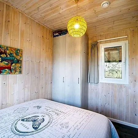 Hakuna Matata Holidays Agalia With Airco & Pool In Greek Olive Grove