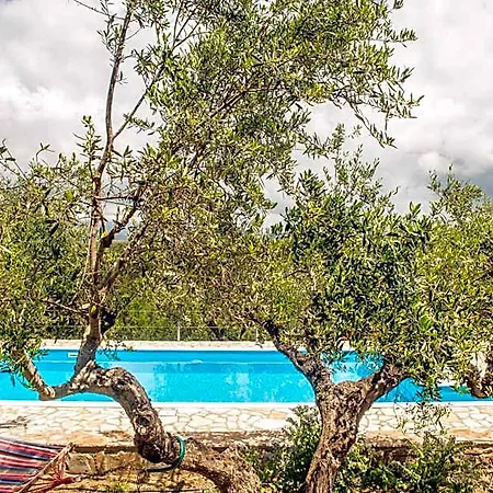 Hakuna Matata Holidays Agalia With Airco & Pool In Greek Olive Grove * 迈索尼