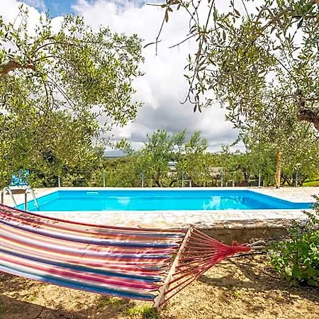 Hakuna Matata Holidays Agalia With Airco & Pool In Greek Olive Grove