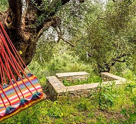 Hotel Hakuna Matata Holidays Agalia With Airco & Pool In Greek Olive Grove