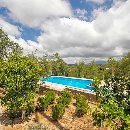 Hakuna Matata Holidays Agalia With Airco & Pool In Greek Olive Grove Hotel *