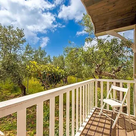 Hotel Hakuna Matata Holidays Agalia With Airco & Pool In Greek Olive Grove
