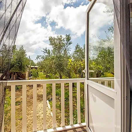 Hotel Hakuna Matata Holidays Agalia With Airco & Pool In Greek Olive Grove *