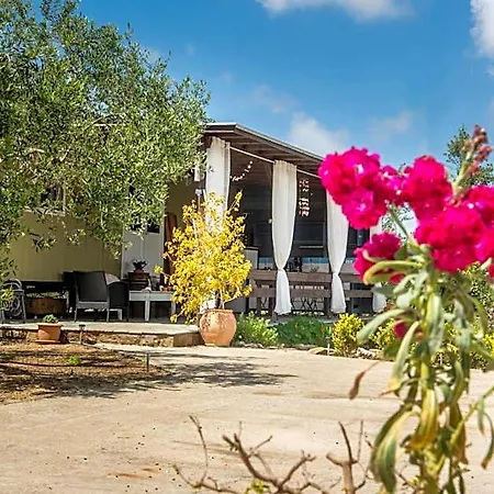 Hakuna Matata Holidays Agalia With Airco & Pool In Greek Olive Grove * Methone